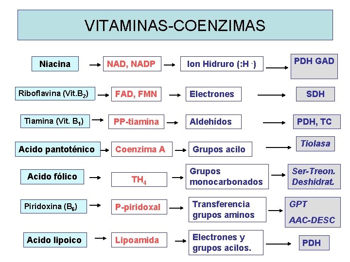 VITAMINAS-COENZIMAS Niacina NAD, NADP Ion Hidruro (: H -) PDH GAD Riboflavina (Vit. B