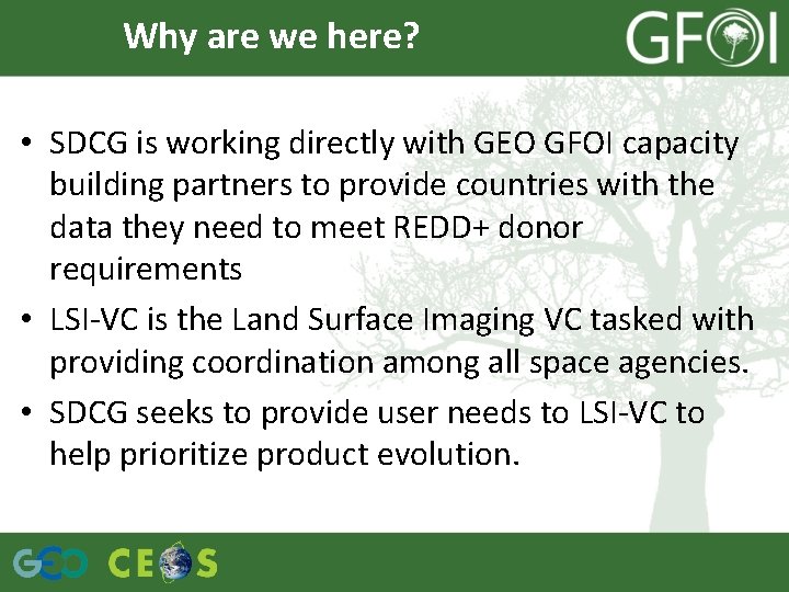 Why are we here? • SDCG is working directly with GEO GFOI capacity building