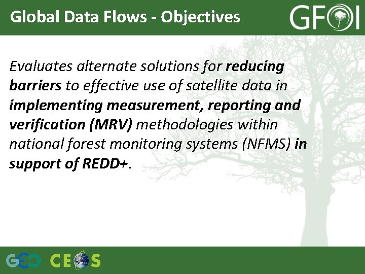 Global Data Flows - Objectives Evaluates alternate solutions for reducing barriers to effective use