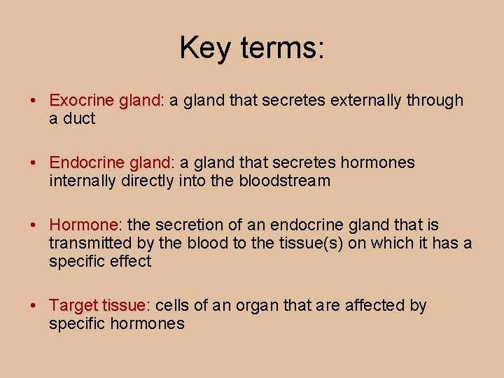 Key terms: • Exocrine gland: a gland that secretes externally through Exocrine gland a