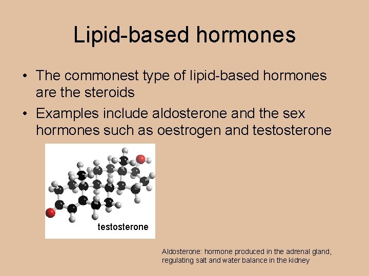Lipid-based hormones • The commonest type of lipid-based hormones are the steroids • Examples