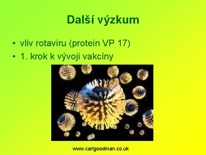 Další výzkum • vliv rotaviru (protein VP 17) • 1. krok k vývoji vakcíny