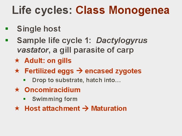 Life cycles: Class Monogenea § § Single host Sample life cycle 1: Dactylogyrus vastator,