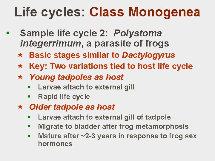 Life cycles: Class Monogenea § Sample life cycle 2: Polystoma integerrimum, a parasite of