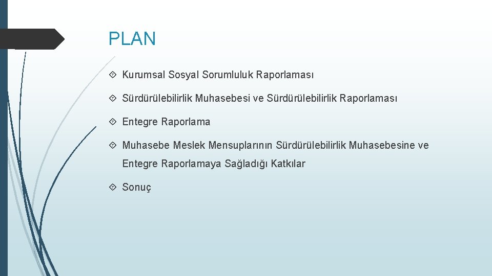 PLAN Kurumsal Sosyal Sorumluluk Raporlaması Sürdürülebilirlik Muhasebesi ve Sürdürülebilirlik Raporlaması Entegre Raporlama Muhasebe Meslek