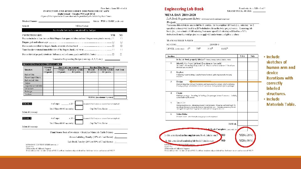 Engineering Lab Book • Include sketches of human arm and device iterations with correctly