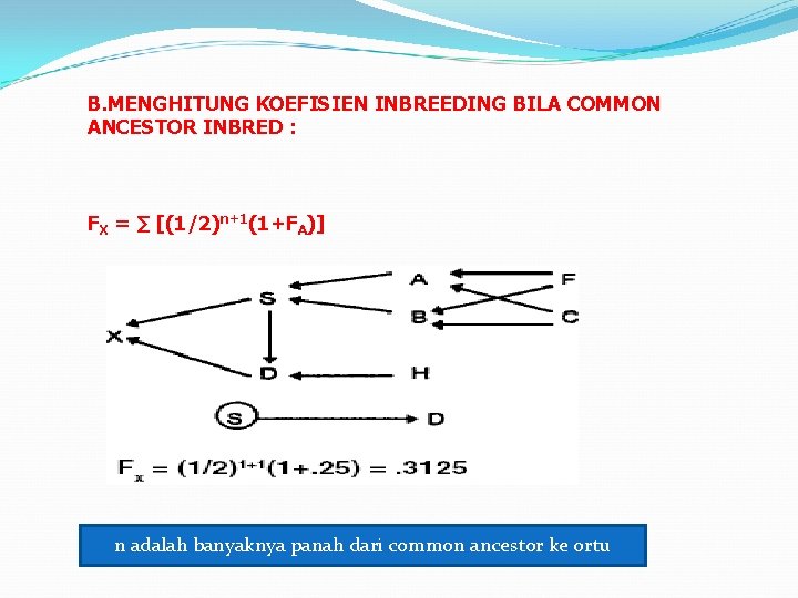 B. MENGHITUNG KOEFISIEN INBREEDING BILA COMMON ANCESTOR INBRED : FX = ∑ [(1/2)n+1(1+FA)] n