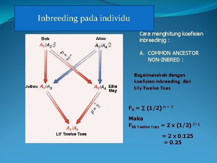 Inbreeding pada individu Cara menghitung koefisien inbreedinjg : A. COMMON ANCESTOR NON-INBRED : Bagaimanakah