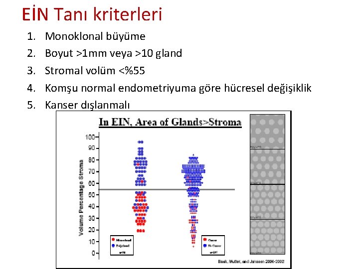 EİN Tanı kriterleri 1. 2. 3. 4. 5. Monoklonal büyüme Boyut >1 mm veya