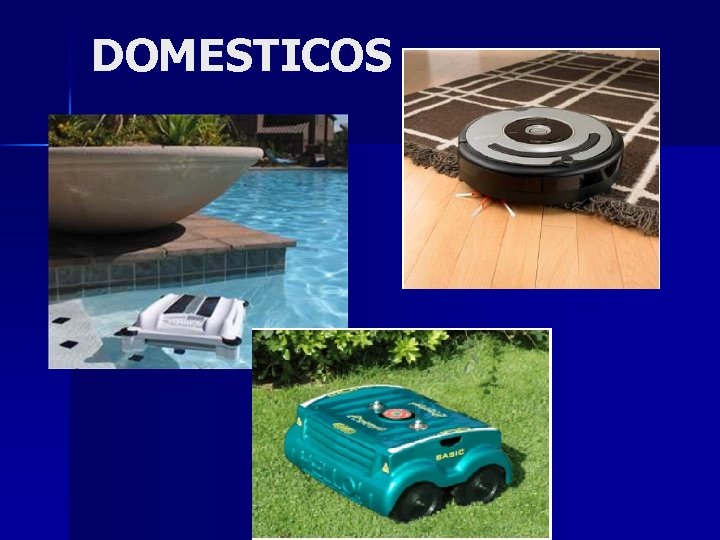 DOMESTICOS 