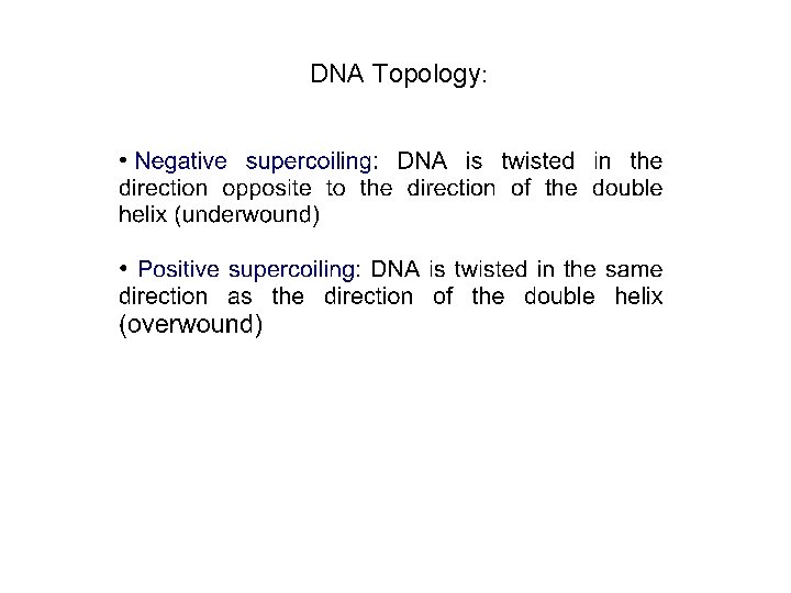 DNA Topology: 