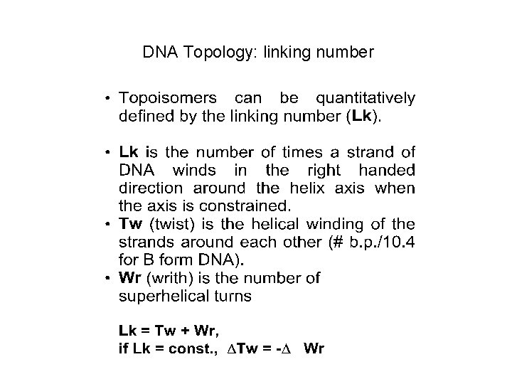 DNA Topology: linking number 