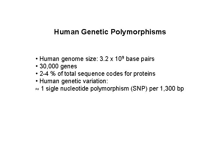 Human Genetic Polymorphisms • Human genome size: 3. 2 x 109 base pairs •