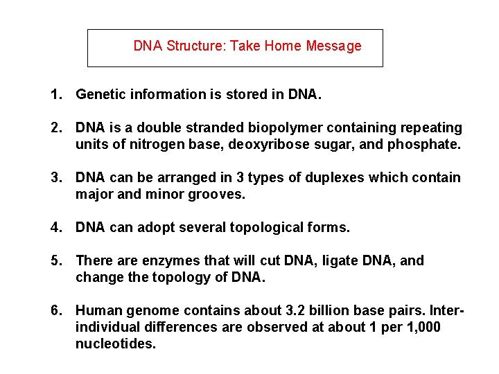 DNA Structure: Take Home Message 1. Genetic information is stored in DNA. 2. DNA