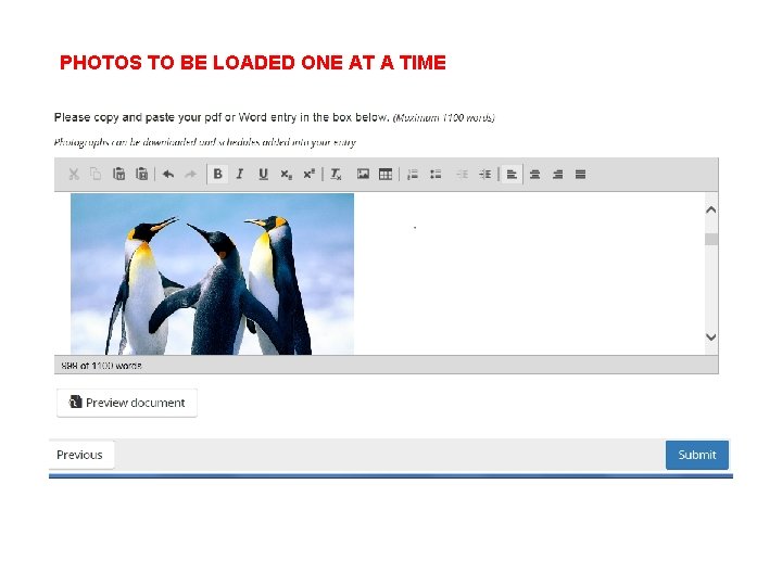 PHOTOS TO BE LOADED ONE AT A TIME 