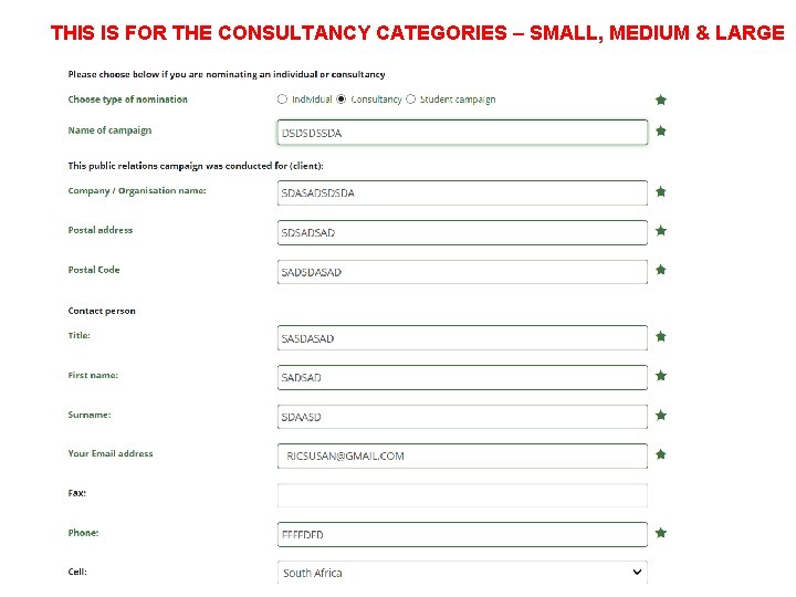 THIS IS FOR THE CONSULTANCY CATEGORIES – SMALL, MEDIUM & LARGE 