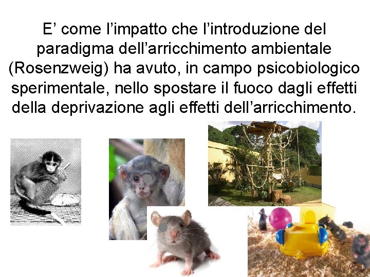 E’ come l’impatto che l’introduzione del paradigma dell’arricchimento ambientale (Rosenzweig) ha avuto, in campo