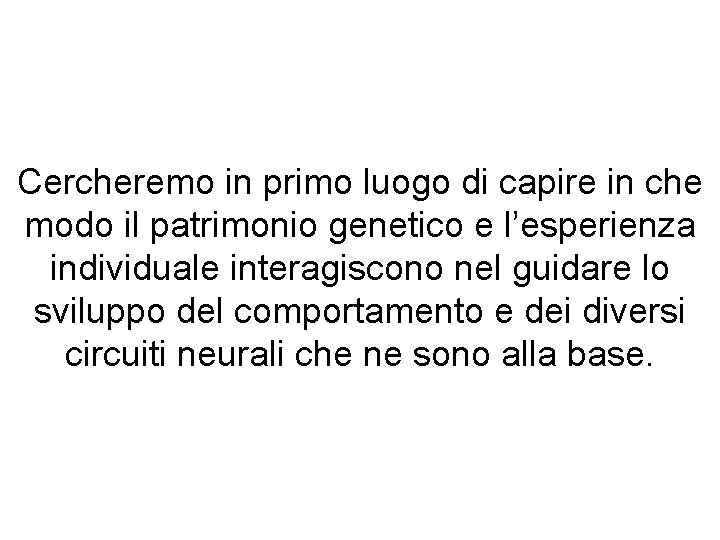 Cercheremo in primo luogo di capire in che modo il patrimonio genetico e l’esperienza