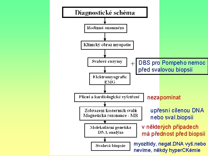 + DBS pro Pompeho nemoc před svalovou biopsií nezapomínat upřesní cílenou DNA nebo sval.