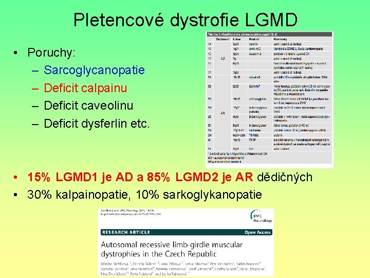 Pletencové dystrofie LGMD • Poruchy: – Sarcoglycanopatie – Deficit calpainu – Deficit caveolinu –
