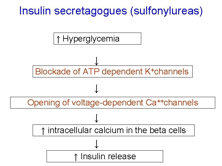 Insulin secretagogues (sulfonylureas) ↑ Hyperglycemia ↓ Blockade of ATP dependent K+channels ↓ Opening of