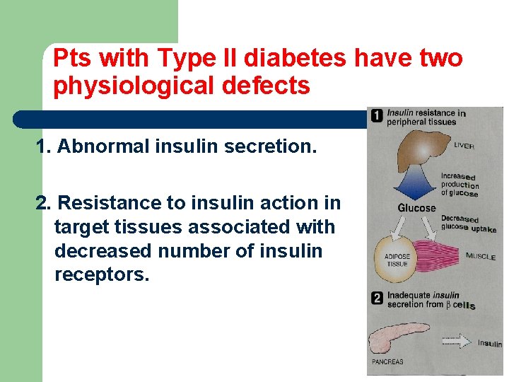 Pts with Type II diabetes have two physiological defects 1. Abnormal insulin secretion. 2.