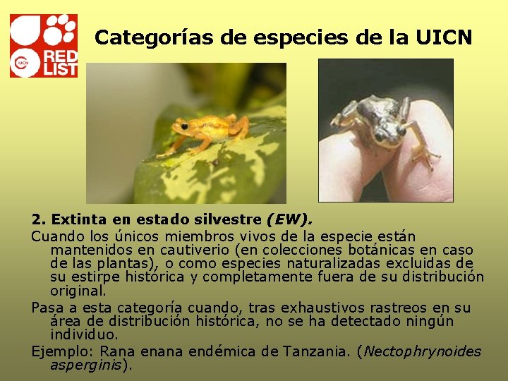 Categorías de especies de la UICN 2. Extinta en estado silvestre (EW). Cuando los Categorías de especies de la UICN 2. Extinta en estado silvestre (EW). Cuando los