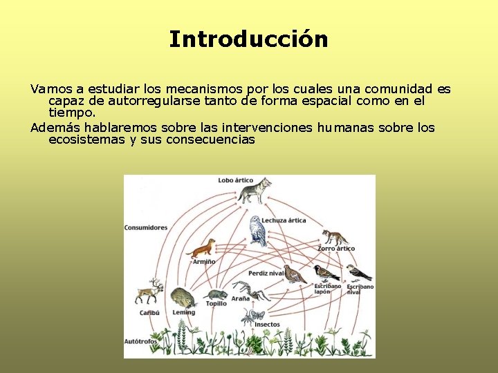 Introducción Vamos a estudiar los mecanismos por los cuales una comunidad es capaz de