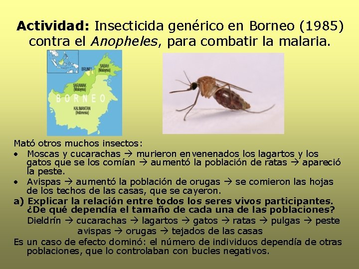Actividad: Insecticida genérico en Borneo (1985) contra el Anopheles, para combatir la malaria. Mató
