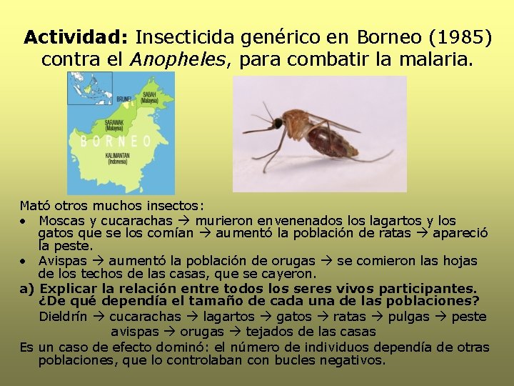 Actividad: Insecticida genérico en Borneo (1985) contra el Anopheles, para combatir la malaria. Mató Actividad: Insecticida genérico en Borneo (1985) contra el Anopheles, para combatir la malaria. Mató
