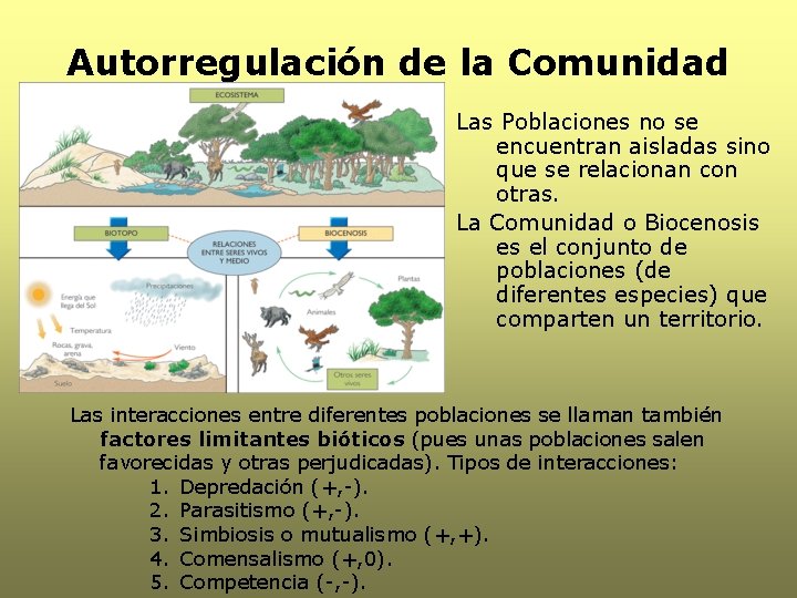 Autorregulación de la Comunidad Las Poblaciones no se encuentran aisladas sino que se relacionan