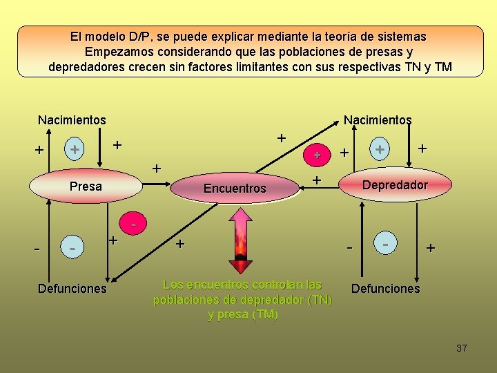 El modelo D/P, se puede explicar mediante la teoría de sistemas Empezamos considerando que El modelo D/P, se puede explicar mediante la teoría de sistemas Empezamos considerando que