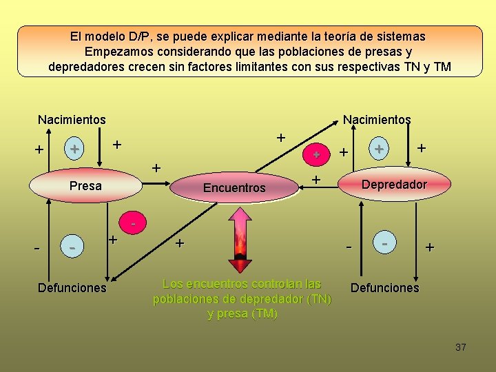 El modelo D/P, se puede explicar mediante la teoría de sistemas Empezamos considerando que