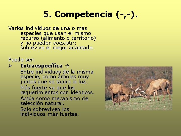 5. Competencia (-, -). Varios individuos de una o más especies que usan el