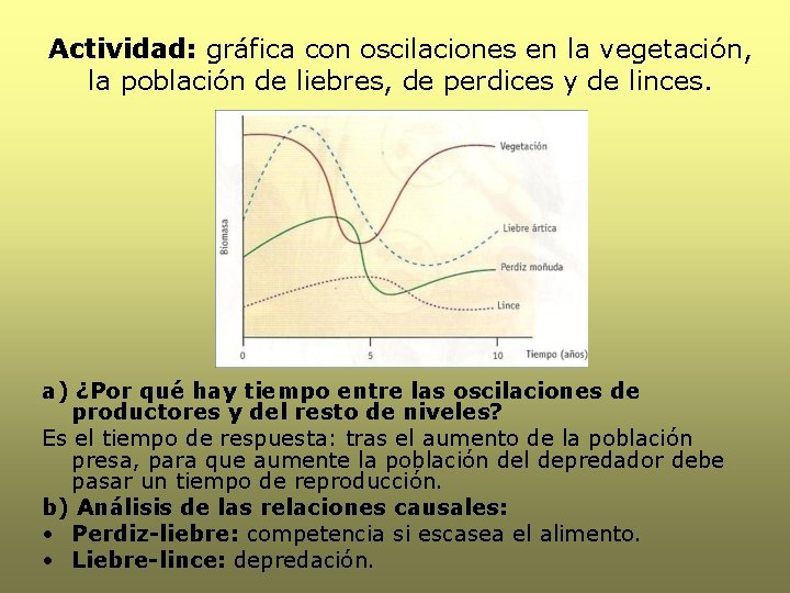 Actividad: gráfica con oscilaciones en la vegetación, la población de liebres, de perdices y