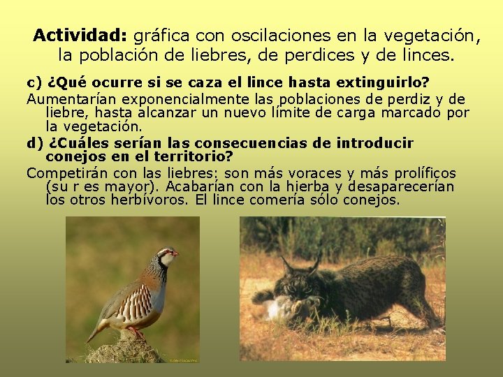 Actividad: gráfica con oscilaciones en la vegetación, la población de liebres, de perdices y Actividad: gráfica con oscilaciones en la vegetación, la población de liebres, de perdices y