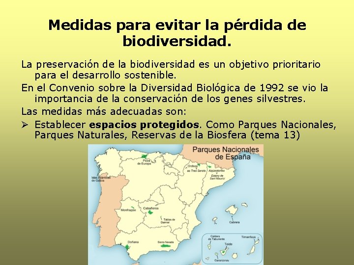 Medidas para evitar la pérdida de biodiversidad. La preservación de la biodiversidad es un