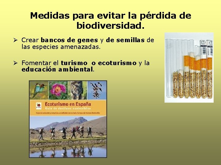 Medidas para evitar la pérdida de biodiversidad. Ø Crear bancos de genes y de Medidas para evitar la pérdida de biodiversidad. Ø Crear bancos de genes y de