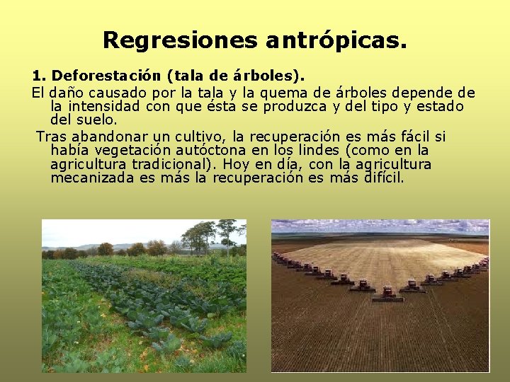 Regresiones antrópicas. 1. Deforestación (tala de árboles). El daño causado por la tala y