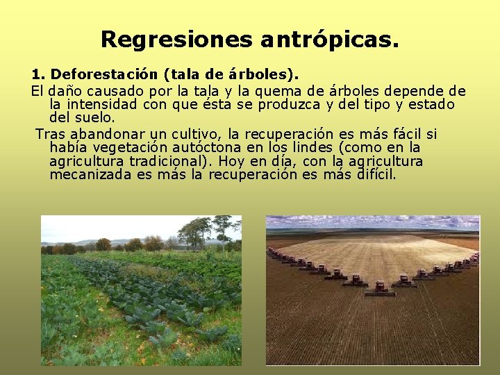 Regresiones antrópicas. 1. Deforestación (tala de árboles). El daño causado por la tala y Regresiones antrópicas. 1. Deforestación (tala de árboles). El daño causado por la tala y