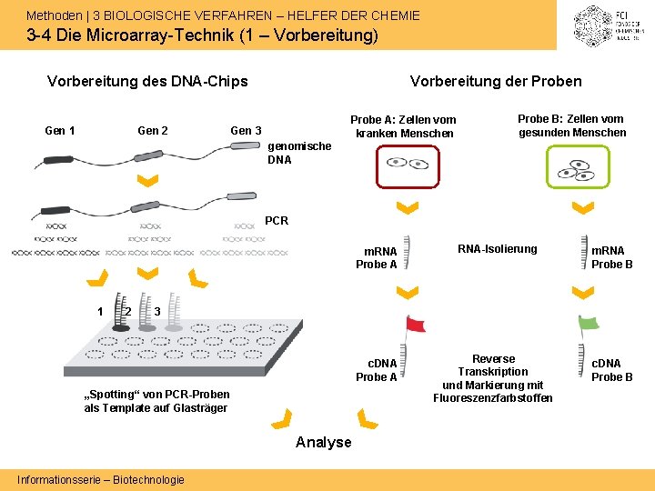 Methoden | 3 BIOLOGISCHE VERFAHREN – HELFER DER CHEMIE 3 -4 Die Microarray-Technik (1