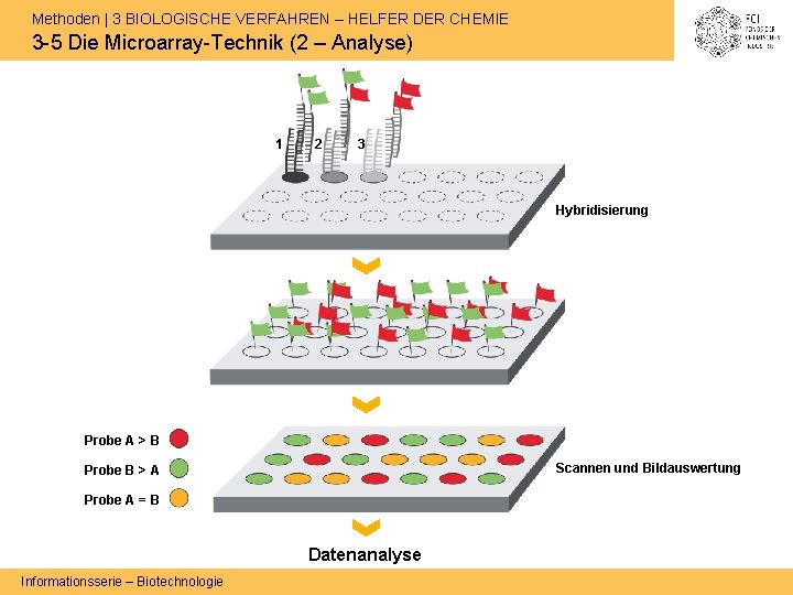 Methoden | 3 BIOLOGISCHE VERFAHREN – HELFER DER CHEMIE 3 -5 Die Microarray-Technik (2