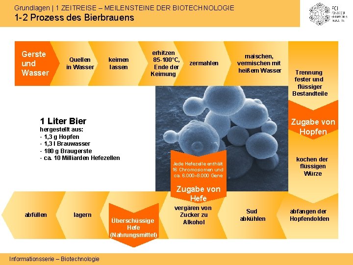 Grundlagen | 1 ZEITREISE – MEILENSTEINE DER BIOTECHNOLOGIE 1 -2 Prozess des Bierbrauens Gerste