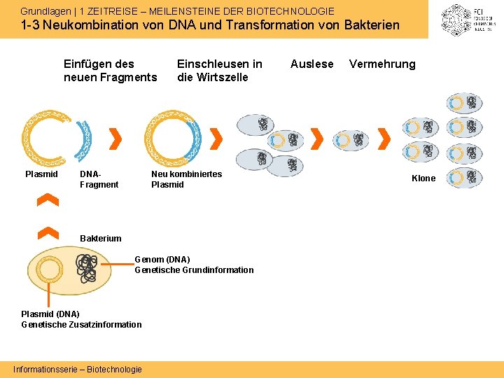 Grundlagen | 1 ZEITREISE – MEILENSTEINE DER BIOTECHNOLOGIE 1 -3 Neukombination von DNA und