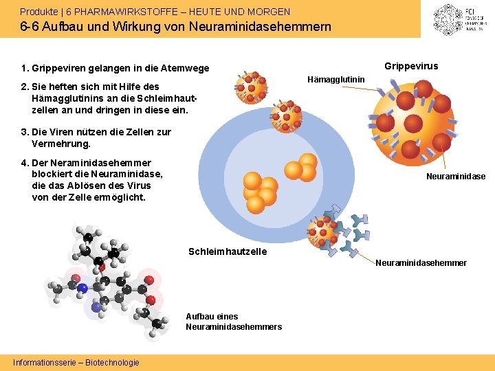 Produkte | 6 PHARMAWIRKSTOFFE – HEUTE UND MORGEN 6 -6 Aufbau und Wirkung von