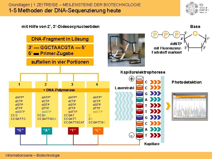 Grundlagen | 1 ZEITREISE – MEILENSTEINE DER BIOTECHNOLOGIE 1 -5 Methoden der DNA-Sequenzierung heute