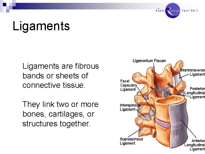 Ligaments are fibrous bands or sheets of connective tissue. They link two or more