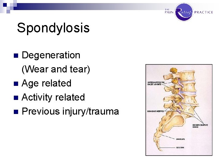 Spondylosis Degeneration (Wear and tear) n Age related n Activity related n Previous injury/trauma