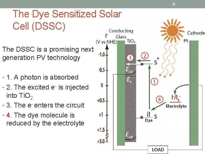 3 The Dye Sensitized Solar Cell (DSSC) The DSSC is a promising next generation