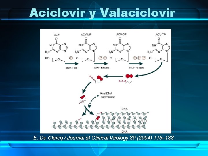 Aciclovir y Valaciclovir E. De Clercq / Journal of Clinical Virology 30 (2004) 115–